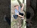 Download Lagu Mastran burung lucu viral kocak ngakak meme funny memes moments