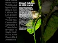 Download Lagu ACİL DERDİ DİLEĞİ İSTEĞİ OLANLAR OKUSUN❤ #islamicvideo