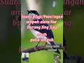Download Lagu Suara pikat ampuh/pancingan burung  Jing Jing batu