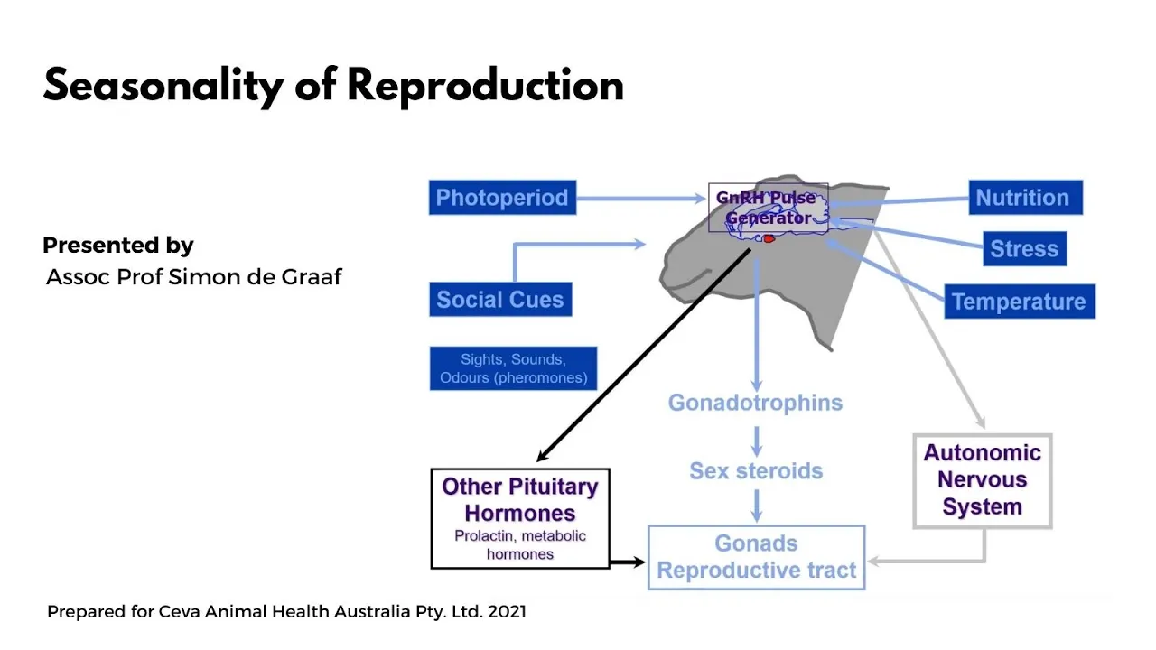 Seasonality of Reproduction
