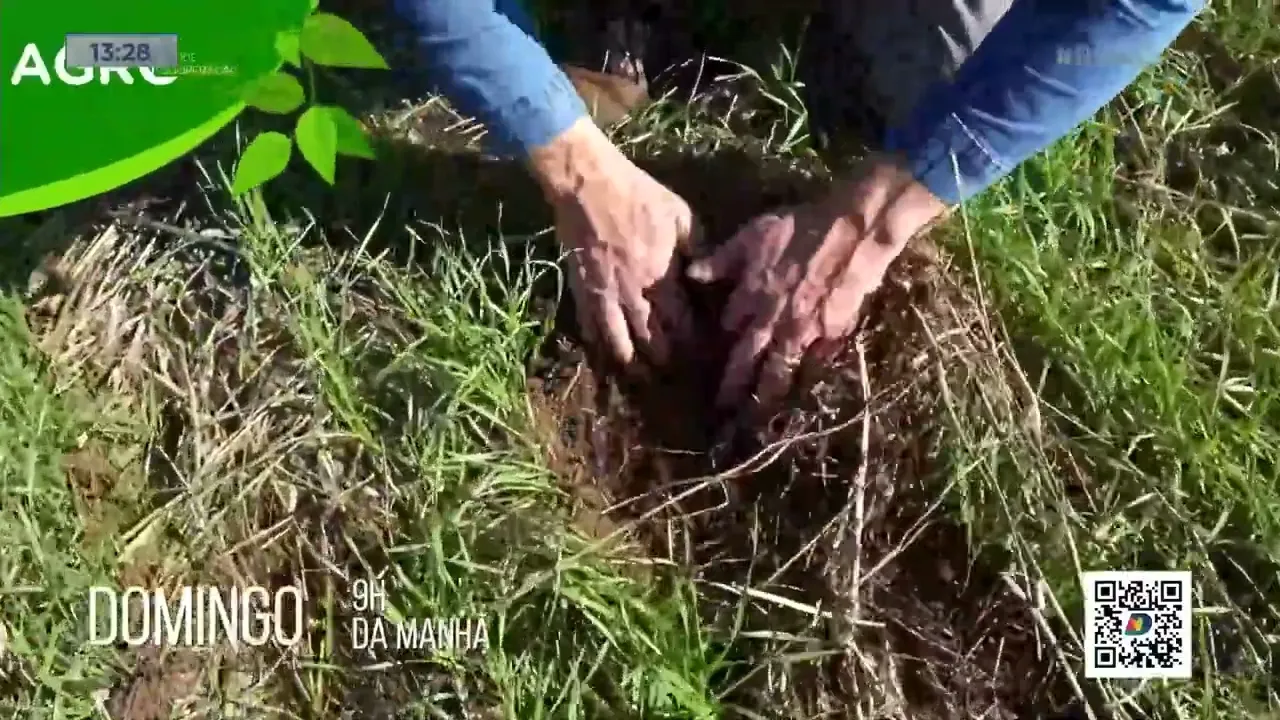 Agro, Saúde e Cooperação: agricultura regenerativa beneficia produção das lavouras do oeste de SC