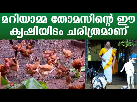 Download MP3 A visit to the Historic farm of housewife Mariamma Thomas at Kozhencherry | HarithamSundharam EP 297