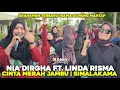 Download Lagu MANTUL ! CINTA MERAH JAMBU NIA DIRGHA DENGAN ARANSMEN TERBARU DARI IRAMA DOPANG BIKIN GOYANG