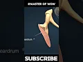 Download Lagu Bagaimana Suara Berjalan dari Telinga ke Otak | Penjelasan Animasi 3D