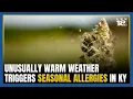 Unusually warm March weather triggers an early start to seasonal allergies in Central Kentucky
