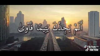 ولسوف يعطيك ربك فترضى ألم يجدك يتيما فاوى ووجدك ضالا فهدى       دندنها