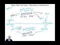 Introduction to the Course Plant Systematics