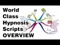 World Class Hypnosis Scripts - Overview