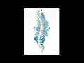 The Ultimate Spine Health Field: From Cervical to Sacral | Morphic Field