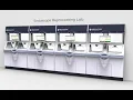 Advantage Plus Pass-Thru
