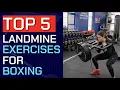 Lagu Top 5 Landmine Exercises for Boxing | FULL 30 MINUTE WORKOUT