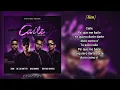 Bad Bunny x Bryant Myers x Zion x De La Ghetto x Revol - Caile (LETRA)
