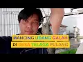Download Lagu #166 - PERJALANAN KE DESA TELAGA PULANG TEMPAT HABITAT IKAN AIR TAWAR TERBESAR DI KALIMANTAN TENGAH