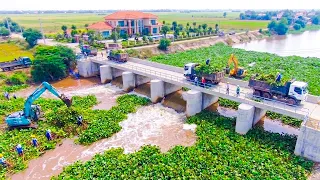 Massive Cleanup Operation: Saving the Hydroelectric System From Hyacinths