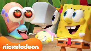 Kamp Koral S CUTEST Moments 60 Minute Compilation SpongeBob  Kamp Koral S CUTEST Moments 60 Minute Compilation SpongeBob