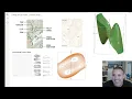 Hiking and 3D Surfaces - Reading Contour Maps