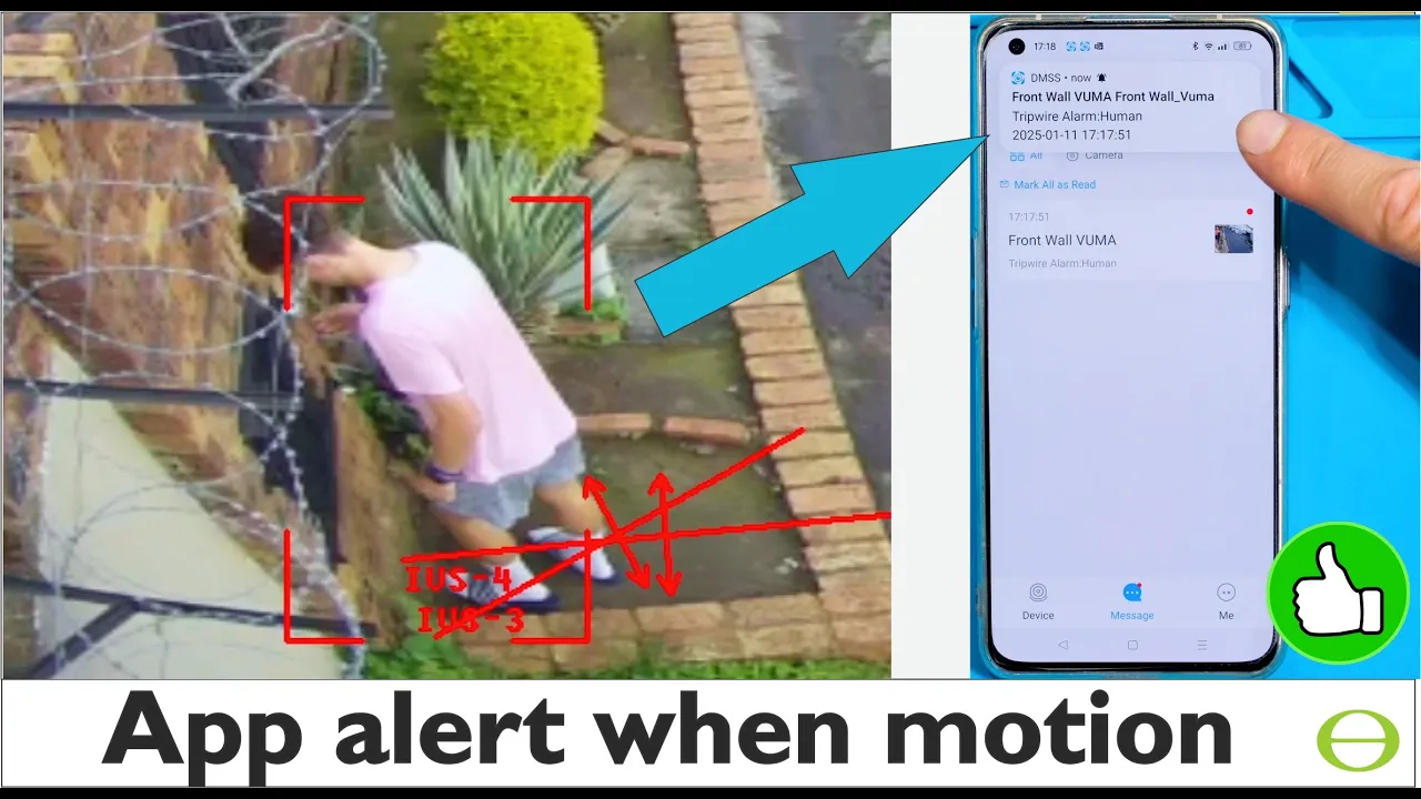 How to Set up Notifications on the Dahua NVR/Camera DMSS phone App for Tripwires or Motion Alarms