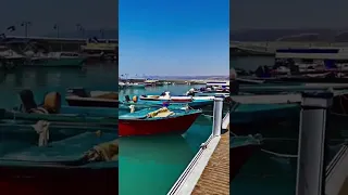 تصاميم شيلات تصوير الاردن العقبة 