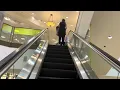 Schindler Escalators Nordstrom - Park Meadows Mall