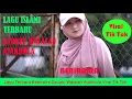 Download Lagu LAGU ISLAMI DZUQTU WALALAN ATAKHOLA COVER BY BEBIRAIRA VIRAL DI TIK TOK TERBARU 2022