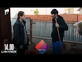 Download Lagu 😱Sfârșit TRAGIC pentru Toma! Ce faptă a comis unul dintre vecini?