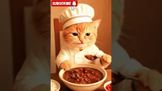 Mimi Cat Eat Fesenjan 