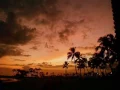 Steven & Coconut Treez - Sunset