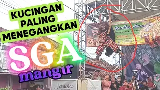 atraksi ekstrim kucingan versi mase hady jaranan sekar gondo arum live mangir krajan