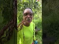 Black Lesbian Off-Grid Hawai i is live