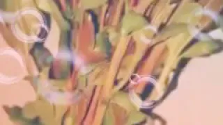 انت كنت فين لما زمان احتجت لك     دندنها