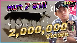 หมา 7 ขา!!! : สัตว์เอ้ยสนุกจังโว้ย l VRZO