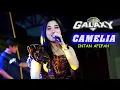 Download Lagu CAMELIA - INTAN AFIFAH - GALAXY MUSIC -WEDDING \