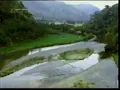 Download Lagu Station ID RCTI - Sawah (2006, Revisi 2005)