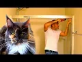 How To INSTALL Framed Sliding BATHTUB SHOWER DOORS Franklin Brass DIY Assemble Guide Home Depot