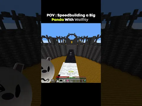 Speedbuilding a Big Panda With Wolfity #minecraft #usa