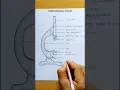 Microscope Drawing