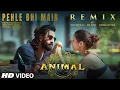 Download Lagu Pehle Bhi Main (Remix): DJ Chetas X DJ NYK X Designiter | Vishal Mishra | Sandeep Vanga | Animal