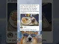 Military Food Really Knows How To Humble A Proud Parent