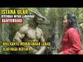 Download Lagu Ngeri !! Nyai Kantil menunjukkan lokasi Istana Ular bertapa ditengah Hutan Larangan Banyuwangi