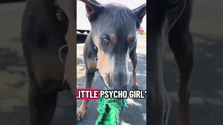 #fypシ #dream #pets #doberman #Fyp