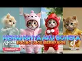 Download Lagu MEMANGNYA AKU BONEKA VERSI KUCING LUCU DAN KAWAN KAWAN TERBARU