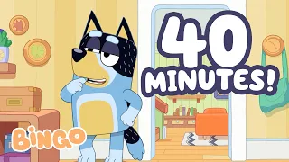 Bandit can not stop Teasing his family Bingo - Channel