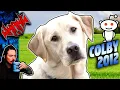 Colby 2012 THAT Reddit dog story - Tales From the Internet