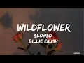 Download Lagu Billie Eilish - Wildflower (slowed) (lyrics)