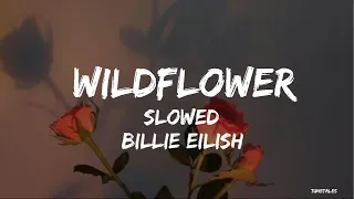 Billie Eilish Wildflower Slowed Lyrics 