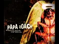 Download Lagu Papa Roach - Between angels and Insects (audio) HQ