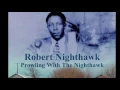 Robert Nighthawk - Annie Lee - Document Records