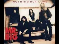 Download Lagu Mr.Big - Nothing but love [lirik dan terjemahannya]