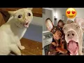 Download Lagu New funny videos with CATS🐱 and DOGS🐶 Funniest moments with ANIMALS 🤣2025