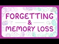 Psychology - Forgetting Memory Loss